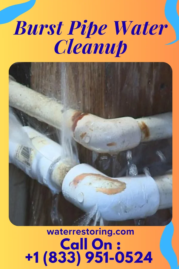 Burst Pipe Water Cleanup in Lockport, LA
