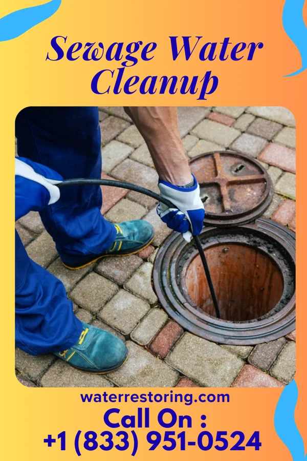 Sewage Water Cleanup in Lockport, LA
